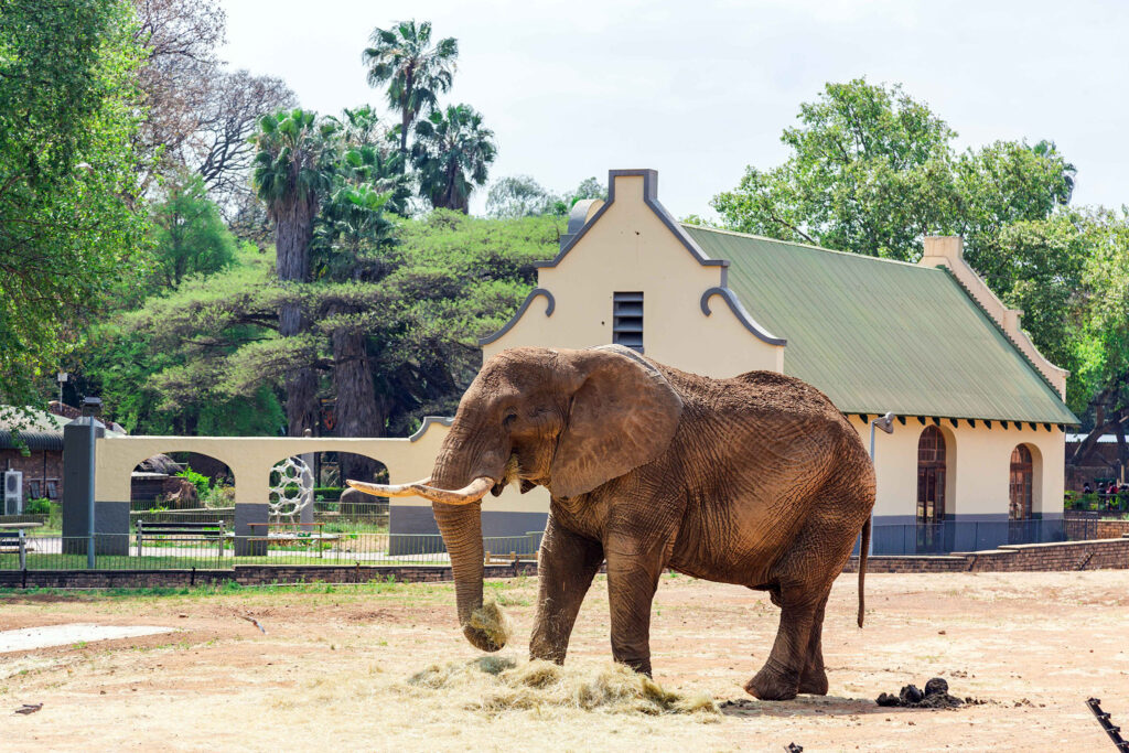 Pretoria Zoo